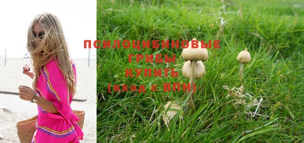 мескалин Новодвинск