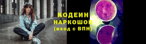 мет Новозыбков