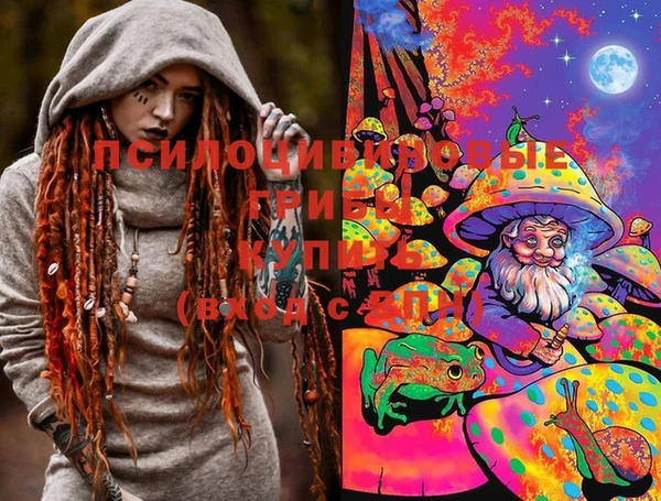 мескалин Новодвинск