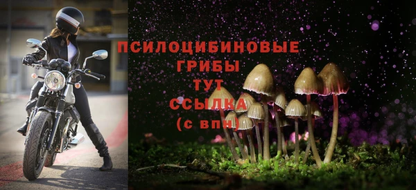 марихуана Новокубанск
