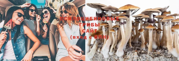 марихуана Новокубанск