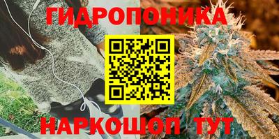 гидропоника Заволжье
