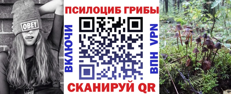 Псилоцибиновые грибы MAGIC MUSHROOMS  Холмск 