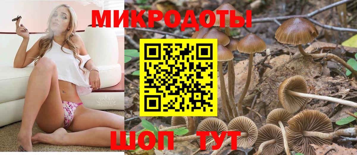 Галлюциногенные грибы MAGIC MUSHROOMS  Вход с VPN  что такое   Холмск 
